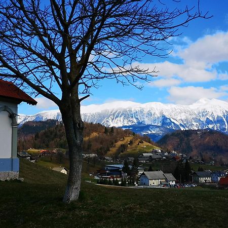 Apartmaji Volf Zgornje Gorje Exteriér fotografie