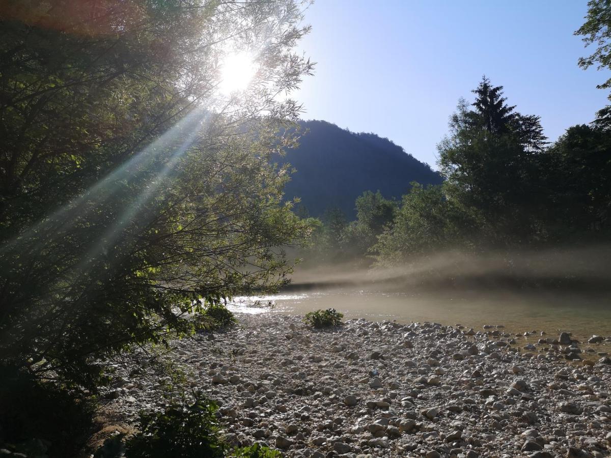 Apartmaji Volf Zgornje Gorje Exteriér fotografie