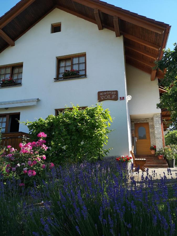 Apartmaji Volf Zgornje Gorje Exteriér fotografie
