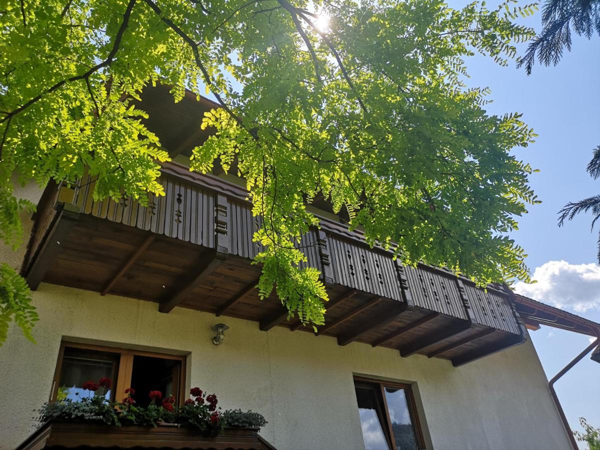 Apartmaji Volf Zgornje Gorje Exteriér fotografie