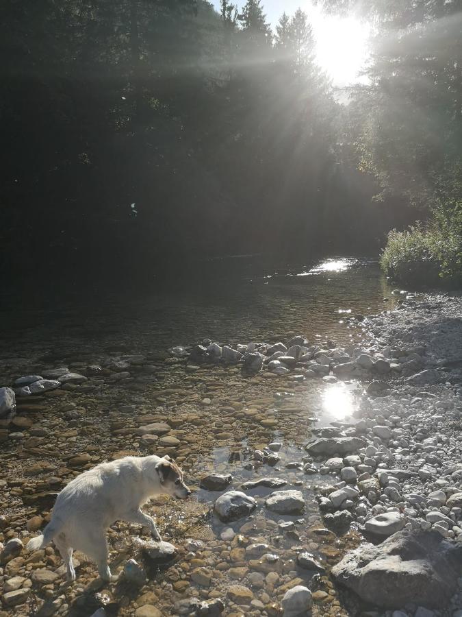 Apartmaji Volf Zgornje Gorje Exteriér fotografie