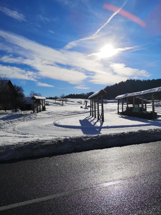 Apartmaji Volf Zgornje Gorje Exteriér fotografie