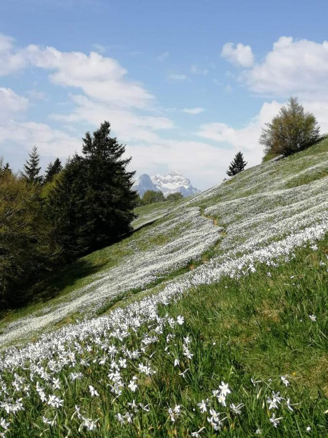 Apartmaji Volf Zgornje Gorje Exteriér fotografie