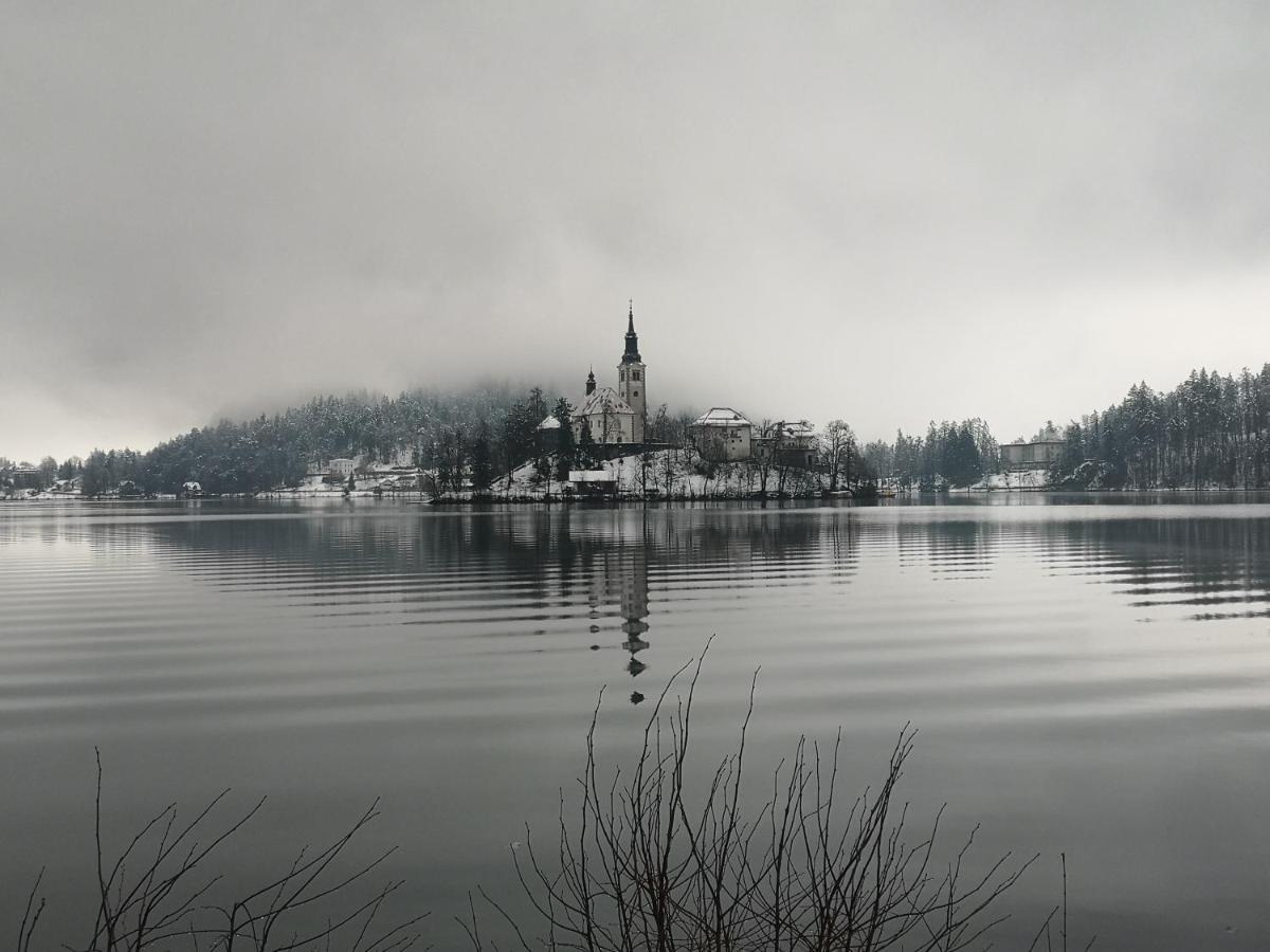 Apartmaji Volf Zgornje Gorje Exteriér fotografie