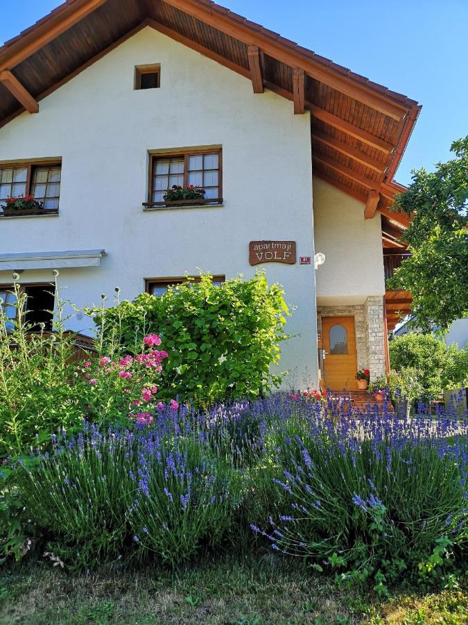 Apartmaji Volf Zgornje Gorje Exteriér fotografie