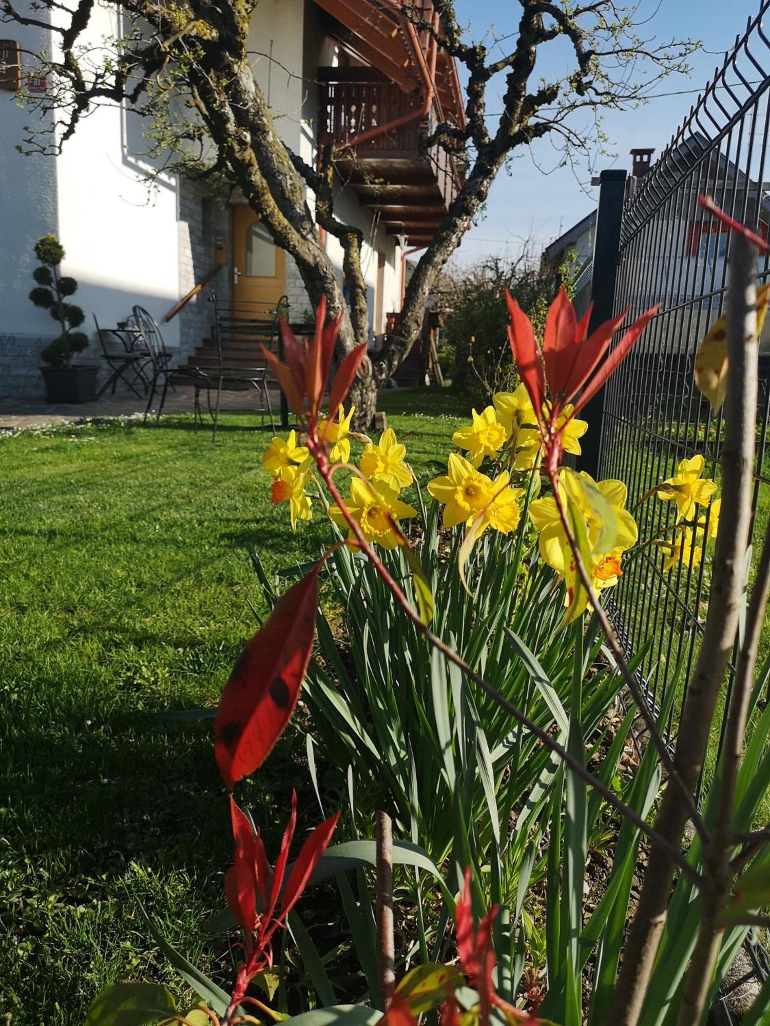 Apartmaji Volf Zgornje Gorje Exteriér fotografie