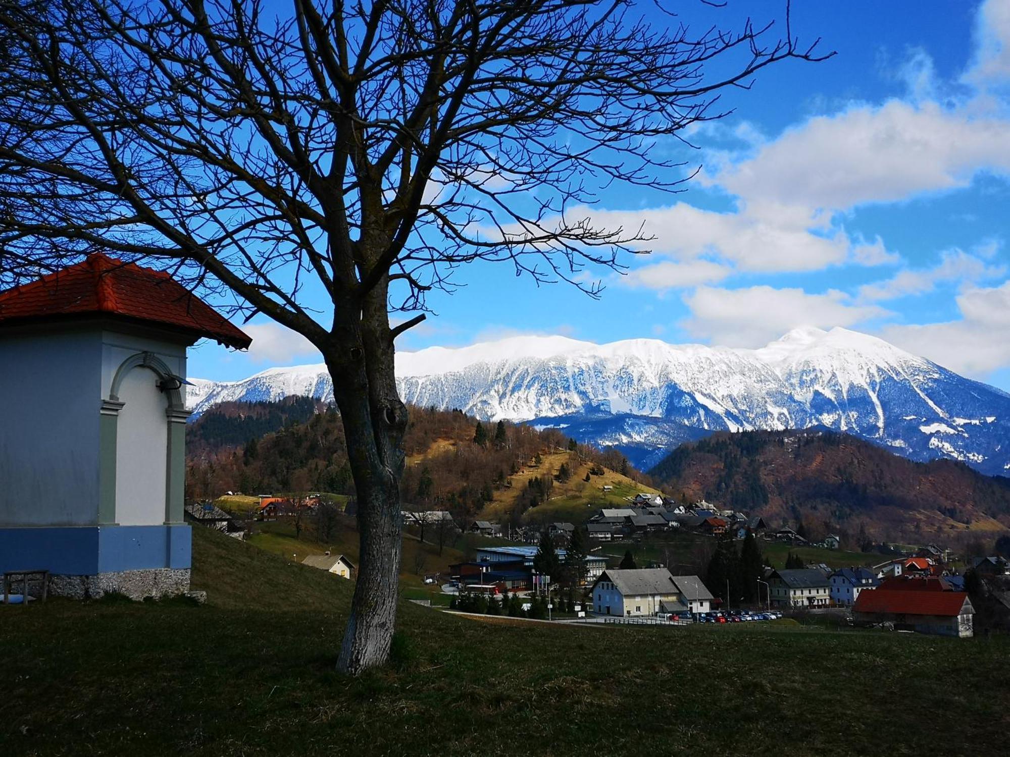 Apartmaji Volf Zgornje Gorje Exteriér fotografie