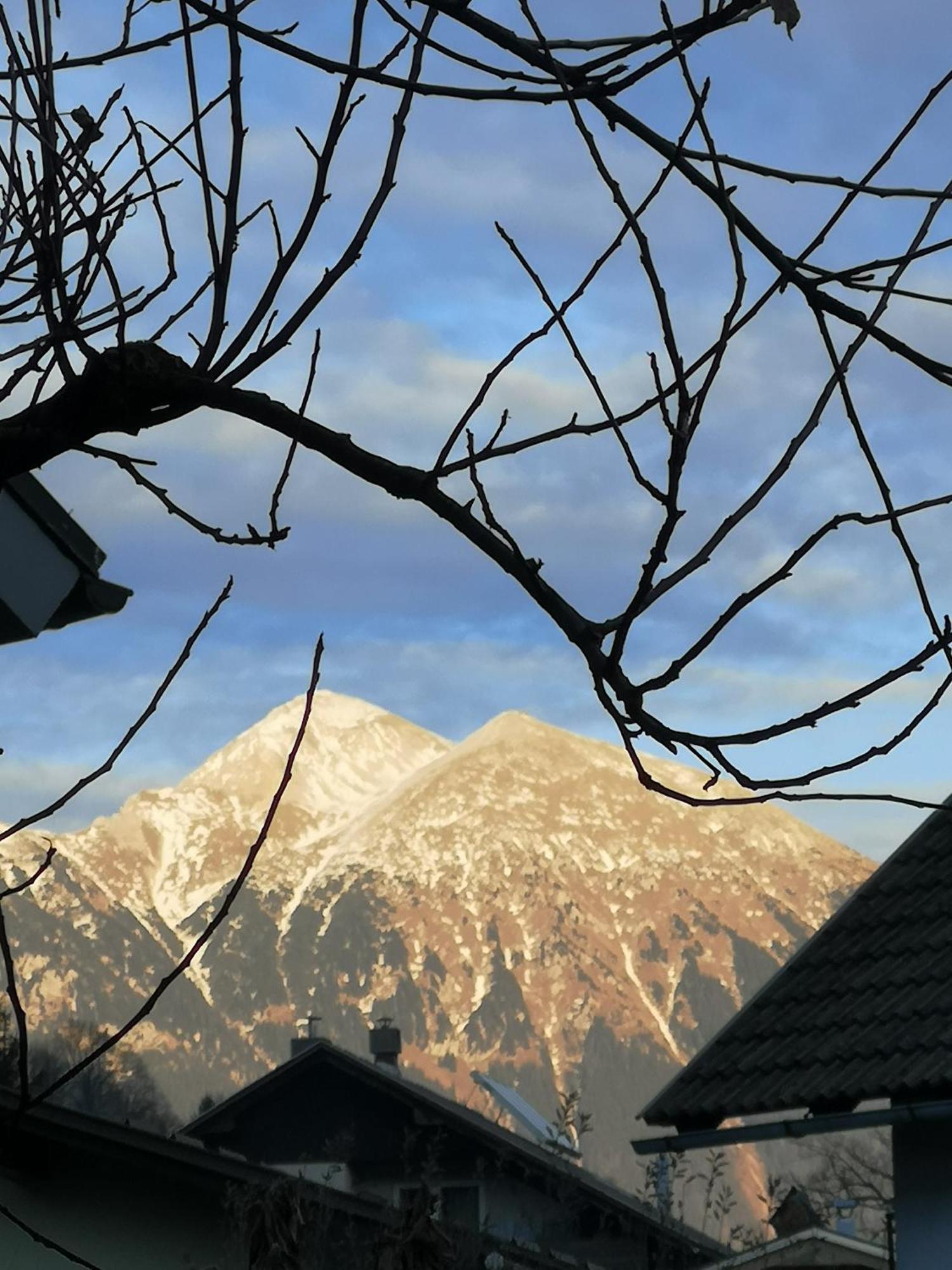 Apartmaji Volf Zgornje Gorje Exteriér fotografie