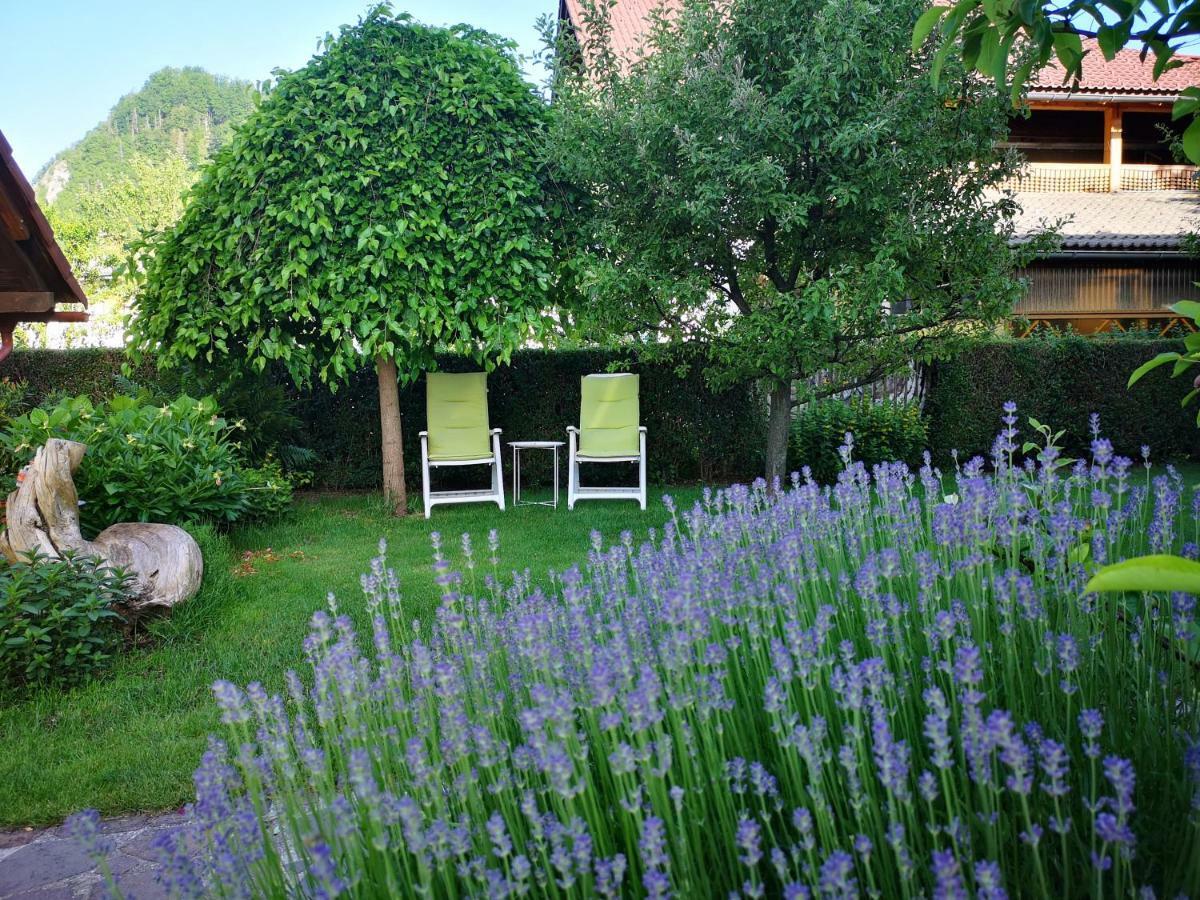 Apartmaji Volf Zgornje Gorje Exteriér fotografie