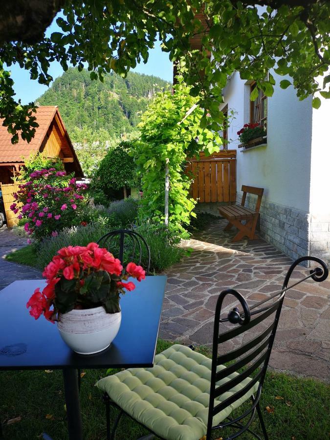 Apartmaji Volf Zgornje Gorje Exteriér fotografie
