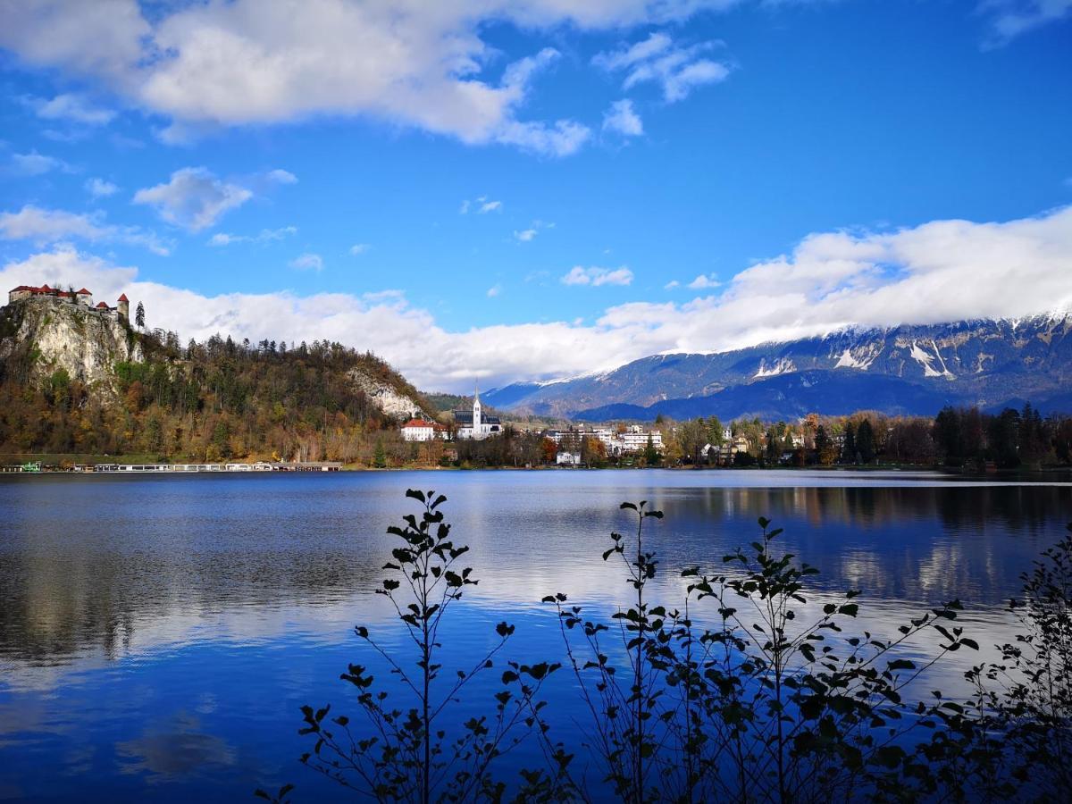 Apartmaji Volf Zgornje Gorje Exteriér fotografie